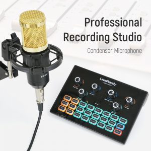 Professional Recording Studio bm 800 Microphone Sound Card Voice Changer bm800 Condenser Microphone for PC Computer /with Stand